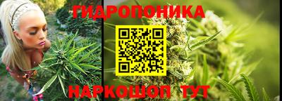 ECSTASY Краснодар
