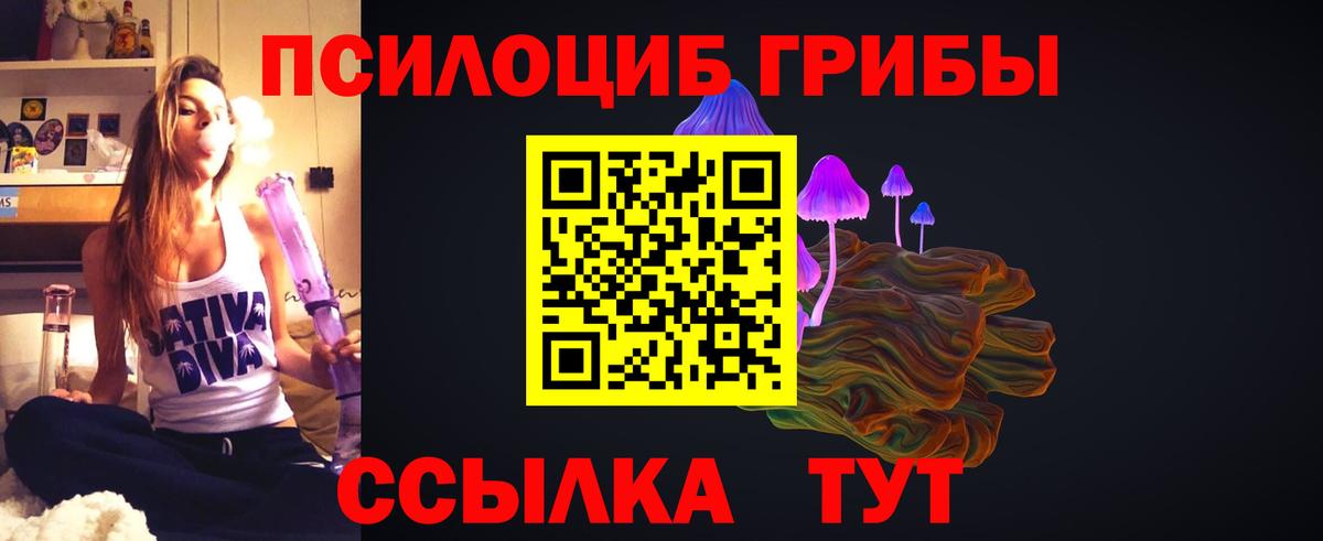 Псилоцибиновые грибы GOLDEN TEACHER  Вход с VPN  Коряжма 