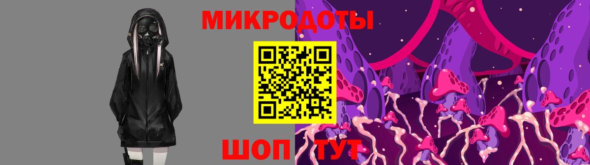 Псилоцибиновые грибы мицелий Коряжма